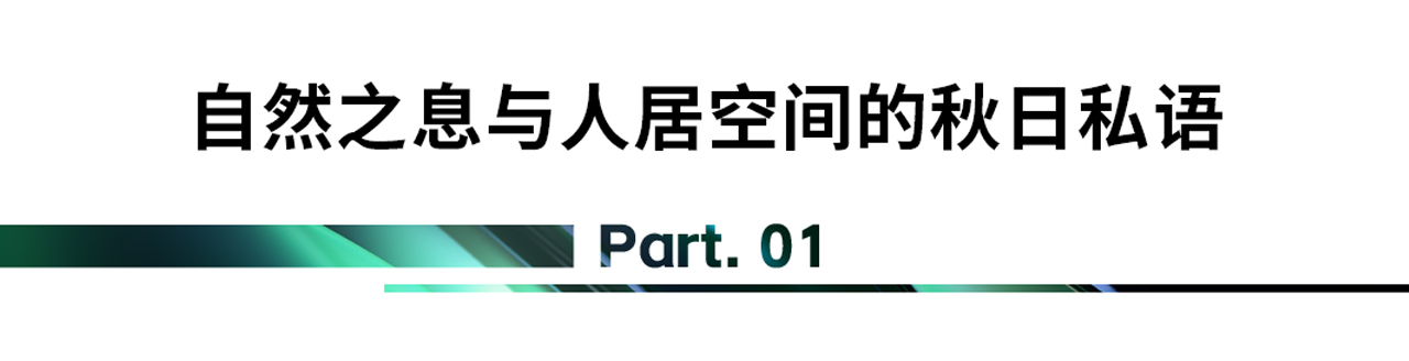 be92d5641bd5ae8377140780f3171e7e.jpg